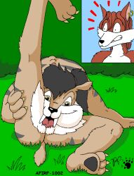 anthro autocunnilingus black_hair black_nose black_pawpads brown_body brown_eyes brown_fur canid canine digital_media_(artwork) duo ear_piercing ear_ring fangs felid female fox fur hair harley_(kthanid) kthanid_(artist) male male/female mammal masturbation oral oral_masturbation pawpads piercing raised_leg ring_piercing rutwell_forest saber-toothed_tiger sabertooth_(anatomy) story_at_source striped_body striped_fur stripes teeth tongue tongue_out toony vaginal_masturbation vaginal_penetration wannah_(kthanid)