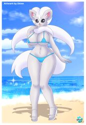 anthro beach bikini breasts chinchilla cinccino fur furry heels midriff pokémon_(species) pokemon sand shinn sky tagme tail thick_thighs