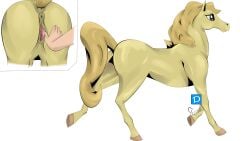 anus censored etcaos horse mare png