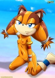 bbmbbf furry mobius_unleashed palcomix sega sonic_(series) sonic_boom sticks_the_badger sticks_the_jungle_badger sticks_the_tejon