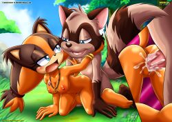 bbmbbf furry mobius_unleashed palcomix radix sega sonic_(series) sonic_boom sticks_the_badger sticks_the_jungle_badger sticks_the_tejon