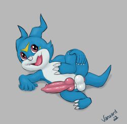 animal_genitalia animal_penis balls bandai_namco blue_body blue_scales canine_penis digimon digimon_(species) genitals hi_res knot male penis pink_penis red_eyes scales solo vanzard veemon