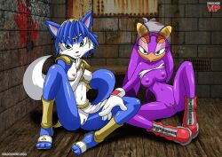 bbmbbf crossover fur34 furry krystal mobius_unleashed nintendo palcomix palcomixvip.com sega sonic_(series) star_fox they_wants_you_to_fuck_them wave_the_swallow