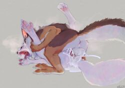 3_toes anal anal_sex anthro anthro_on_anthro anthro_penetrated anthro_penetrating anthro_penetrating_anthro anus arctic_fox balls big_balls bite bodily_fluids brown_body brown_fur canid canine canis coyote cum feet fox fur genital_fluids genitals korichi korichi_(character) lying male male/male male_penetrated male_penetrating male_penetrating_male mammal moses_(samur_shalem) neck_bite on_back open_mouth pawpads penetration penile penile_penetration penis_in_ass pink_pawpads signature toes white_body white_fur