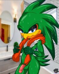 accipitrid accipitriform avian balls bathroom bird feathers genitals hi_res jet_the_hawk looking_at_viewer looking_pleasured male male_only nude penis plumage sega sirjzau solo sonic_(series) sonic_riders sonic_the_hedgehog_(series) tail_feathers towel towel_around_neck towel_only