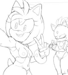 2d 2d_artwork a_name_for_me amy_rose areola areolae armpits blaze_the_cat breasts eyelashes gem_on_forehead hereapathy mobian_(species) nipples peace_sign sketch small_breasts sonic_(series) sonic_the_hedgehog_(series) thick_ass thick_thighs thighhighs wip