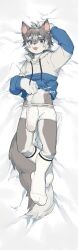 2024 anthro blue_eyes blush bulge canid canine canis clothing dakimakura_design footwear fur genital_outline genitals grey_body grey_fur hair hi_res hoodie humanoid_genitalia humanoid_penis looking_at_viewer lying male mammal milk milkytiger1145 penis penis_outline socks solo tail topwear topwear_lift underwear white_body white_fur wolf wolf_dongdong_(character)