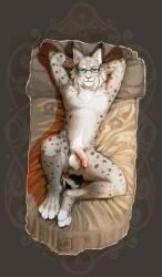 anthro balls bed bent_legs eyewear felid feline flaccid foreskin furniture genitals glasses hands_behind_head hi_res humanoid_genitalia humanoid_penis lying lynx male male_only mammal on_back penis pockyrumz solo synx_(synxthelynx)