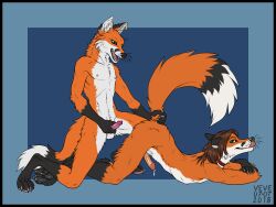 anthro canine collar fox foxes gay leroy male mentova piercing vulpine