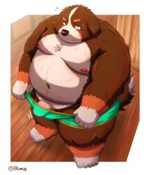 2022 absurd_res anthro balls belly bernese_mountain_dog big_belly black_body black_fur blush brown_body brown_fur bulge canid canine canis clothing domestic_dog fur genitals hi_res humanoid_genitalia humanoid_hands humanoid_penis kemono kumajjjj male mammal molosser moobs mountain_dog navel nipples obese obese_male overweight overweight_male penis solo swiss_mountain_dog underwear white_body white_fur