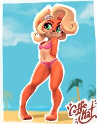 1girls anthro arms_behind_head beach bikini blonde_hair coco_bandicoot coffeecat crash_(series) cute fur furry green_eyes long_hair orange_fur paws ponytail solo