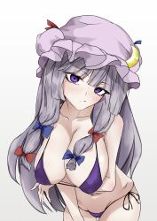 big_breasts female ohkey_now patchouli_knowledge tagme touhou