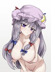 big_breasts female ohkey_now patchouli_knowledge tagme touhou