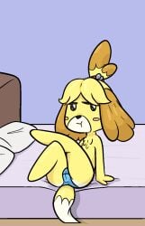 accessory animal_crossing anthro ass bed bell blue_clothing blue_panties blue_underwear blush cameltoe canid canine canis chest_tuft clothing domestic_dog female flat_chested fur furniture genital_outline hair_accessory happy_harvey hi_res isabelle_(animal_crossing) looking_aside mammal nintendo panties pillow presenting presenting_hindquarters sitting solo tuft underwear video_games yellow_body yellow_fur