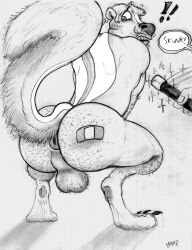 anthro anus balls band-aid bandage clothing crouching forced forced_transformation genitals hi_res male mammal mephitid skunk solo transformation yagi_b. yagi_b._(artist)