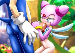 bbmbbf furry lumina_flowlight mobius_unleashed palcomix sega sonic_(series) sonic_the_hedgehog