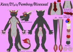 absurd_res animal_genitalia anthro claws dragon english_text fluffy fluffy_tail fur furred_dragon genital_slit genitals girly heterochromia hi_res kess_(raevi10) male model_sheet neck_tuft open_mouth pawpads paws penis raevi10 ribbed_penis slit solo text tuft