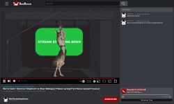 1girls animal_genitalia anthro audience blindfold bondage bound breasts camera camera_hud camera_view canid canine canis chat_log domestic_dog female forced genitals german_shepherd group herding_dog hi_res livestream mammal nipples nude omnipresentcrayon pastoral_dog public rape recording solo solo_focus