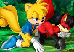 archie_comics bbmbbf furry li_moon mobius_unleashed palcomix ray_the_flying_squirrel sega shoes sonic_(series) tagme