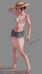 1girls big_breasts breasts cactigang female female_only full_body hat luffyko monkey_d_luffy one_piece rule_63 standing