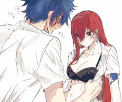 blue_hair blushing bra erza_scarlet fairy_tail imminent_sex jellal_fernandes red_hair taking_clothes_off