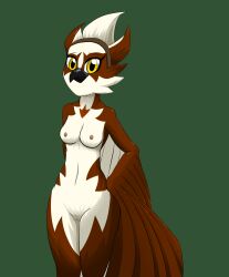 2021 accipitriform anthro avian bird breasts brown_body clothing fan_character feathered_arms female genitals ghostth39 green_background hi_res looking_at_viewer multicolored_body nipples osprey pussy sega simple_background small_breasts solo sonic_(series) sonic_the_hedgehog_(series) two_tone_body white_body winged_arms wings yellow_eyes