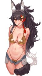ookami mio from hololive by opendeal 392