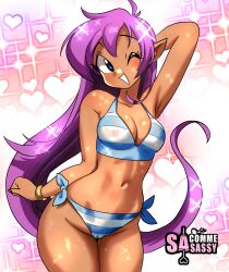 shantae (character) from shantae by sasatseng