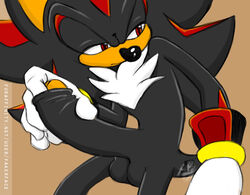 shadow the hedgehog from sega by fakerface