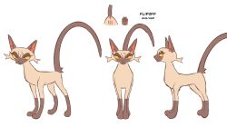 anus brown_body brown_fur domestic_cat fan_character felid feline felis female feral flipoff_(labbit1337) fur genitals hi_res labbit1337 mammal model_sheet pussy simple_background solo tail tan_body tan_fur warriors_(cats) white_background