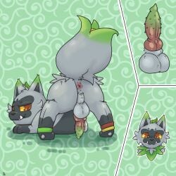 1:1 2022 absurd_res animal_genitalia animal_penis anklet anus ass ass_up azzyyeen backsack balls barbed_canine_penis bulb canine_penis cutaway ear_piercing erection fan_character feral fur furry furry_only fusion genitals green_body green_fur grey_body grey_fur guiche_piercing hi_res hybrid hybrid_genitalia hybrid_penis jewelry knot looking_at_viewer looking_back looking_back_at_viewer lying male male_only multitoned_fur nintendo nude on_front penile_spines penis piercing pokémon_(species) pokémon_fusion pokemon pokemon_(species) pokemon_sv poochyena presenting presenting_hindquarters quadruped raised_tail rear_view red_eyes simple_background solo sprigatito tail unusual_anatomy unusual_tail video_games yellow_sclera