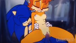 american_sonic animated completely_nude cum cum_in_pussy cum_inside female girl_on_top jaguatiric4 male nude sally_acorn sega sex small_breasts sonic_(series) sonic_the_hedgehog sonic_the_hedgehog_(series) vaginal_penetration