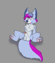 1boy anthro balls canid canine canis genitals hi_res luckyfur male male_only mammal nude paws penis solo tuli wolf