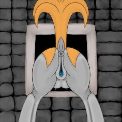 Animal Genitalia Rule 34 Image