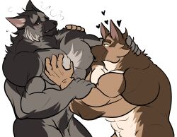 abs absurd_res anthro anthro_on_anthro barazoku biceps big_muscles biped blush bodily_fluids brown_body brown_fur canid canine canis domestic_dog duo fur garnett genitals german_shepherd grey_body grey_fur heart herding_dog hi_res intraspecies male male/male mammal muscular muscular_anthro muscular_male nipple_fetish nipple_play nipple_suck nude pastoral_dog patrick_(drks) pec_grab pec_grasp pecs penis pinumontbalou sucking sweat tan_body tan_fur