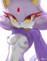 1girls blaze_the_cat breasts female furry nipples rilex_lenov shirt shirt_lift sonic_(series)