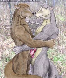 2001 anthro brown_body brown_fur canid canine canis duo embrace erection forest fur genitals grey_body grey_fur holding_each_other hug humanoid_genitalia humanoid_penis kylee male male/male mammal moonchild nude outside penis plant romantic romantic_couple traditional_media_(artwork) tree wolf