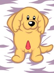 absurd_res animal_genitalia animal_penis bed black_eyes black_nose canid canine canis cooper_dankev dakimakura_design dankev_(youtuber) domestic_dog erection fur furniture genitals harryiff_art hi_res lomito_dankev looking_at_viewer lying lying_on_bed male mammal on_bed on_front penis simple_background smile solo yellow_body yellow_fur youtube youtuber