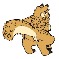 anthro anus breasts crouching felid female fur furry furry_only genitals hi_res looking_back machairodontine mammal naked nipples nude pussy red_eyes slightly_chubby solo tail thick_thighs trout_(artist)