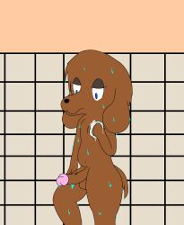 anthro bathroom brown_body brown_fur canid canine catscratch08th collar digital_drawing_(artwork) digital_media_(artwork) fur genitals hi_res looking_at_genitalia male mammal no_shading penis reptile rusty_(catscratch08th) scalie shower showering soap solo solo_focus sponge turtle vein veiny_penis wet wet_body wet_fur wet_tail