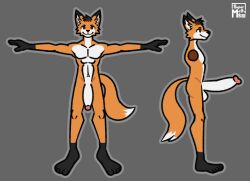 anthro big_penis canid canine fox galax_operi genitals hi_res huge_cock hyper hyper_genitalia hyper_penis male male_only mammal nude penis reference_sheet solo_male supermattym8