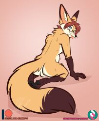 anthro ass balls blep canid canine eyewear feet fennec fox genitals glasses male mammal nicnak044 pawpads paws pinup pose solo tongue tongue_out