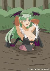 1girls a-020 armpits arms_behind_head bare_shoulders bat_wings big_breasts blush breasts bridal_gauntlets busty clothing darkstalkers female green_eyes green_hair head_wings highres large_breasts leotard long_hair looking_at_viewer medium_breasts morrigan_aensland mud pose posing quicksand sensual sinking smile solo succubus voluptuous