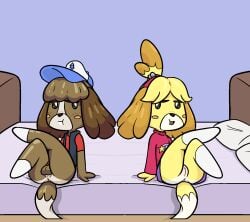 accessory animal_crossing animal_crossing_new_leaf anthro anthro_only anus ass balls bed bedroom black_nose blush both_sexes_in_same_situation bottomless bottomwear brother brother_and_sister brown_body brown_fur butt canid canine canis clothing cosplay crossed_legs crossover crossover_cosplay digby_(animal_crossing) digital_drawing_(artwork) digital_media_(artwork) dipper_pines dipper_pines_(cosplay) disney domestic_dog duo female footwear freckles fur furniture genitals gravity_falls hair_accessory happy_harvey hat headgear headwear hi_res humanoid_genitalia humanoid_hands humanoid_penis humanoid_pussy humanoid_vagina isabelle_(animal_crossing) looking_at_another mabel_pines mabel_pines_(cosplay) male male/female mammal nintendo opposite_sex_twins penis phone_drawing pillow presenting pussy raised_leg shih_tzu shirt sibling sister sitting skirt socks solo straight_hair sweater testicles topwear toy_dog twins upskirt vagina vest video_games white_fur yellow_fur