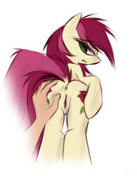 anus earth_pony equine friendship_is_magic green_eyes hooves kejzfox looking_at_viewer my_little_pony pink_hair pussy red_hair roseluck_(mlp) sergkz tail two_tone_hair two_tone_tail white_background