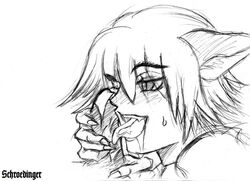 hellsing male_only schrodinger tagme