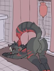 anthro ass ass_up balls bathroom black_body black_fur canid canine canis enema enema_bag fur genitals grey_body grey_fur hi_res hose lawkie male mammal nude piercing raised_tail red_body red_fur solo tail wolf
