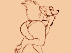 nick wilde from disney by dracojeff