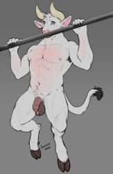 absurd_res anthro asterion_(minotaur_hotel) balls bovid bovine danero european_mythology flaccid foreskin fur genitals greek_mythology hanging_by_arms hi_res male mammal minotaur minotaur_hotel muscular muscular_male mythology nude pecs penis pullups solo white_body white_fur