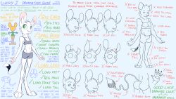 animancer ass bubble_butt character_sheet dipodid female female_only hi_res jerboa luck_(animancer) mammal model_sheet proportions rodent solo_female